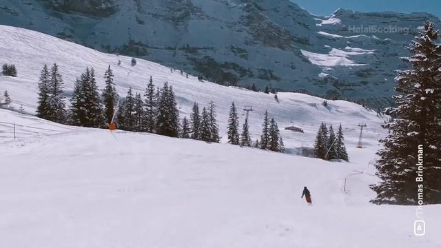 Венген, Швейцария Альп | HalalBooking смотреть онлайн