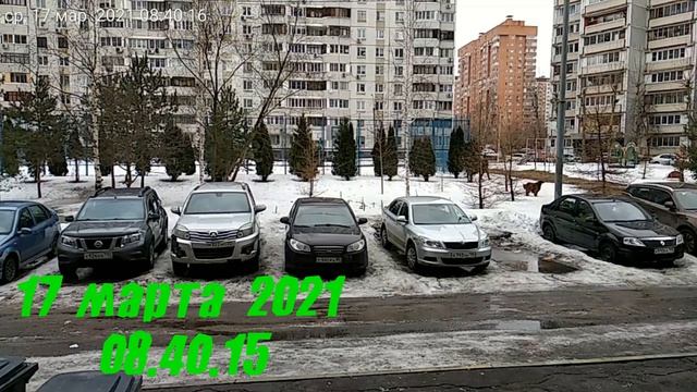 ТАЙМЛАПС!!! 30 Дней За 3 Минуты! Интересно! Ждем Новые Клипы смотреть онлайн