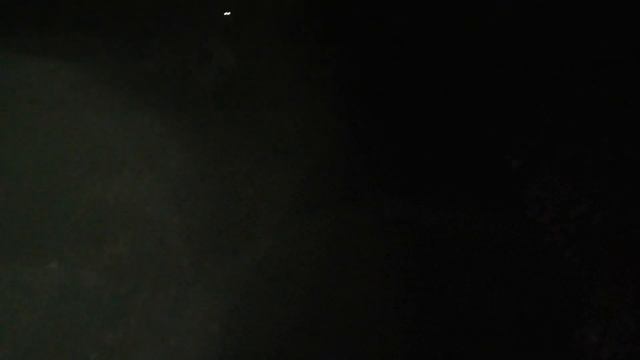 УЛИЧНЫЕ КОТЫ ОСЕНЬЮ. ТАЙНА УЛИЧНОГО КОТА ЛЕОНТИЯ РАСКРЫТА. ИСТОРИИ ПРО ЖИВОТНЫХ. смотреть онлайн