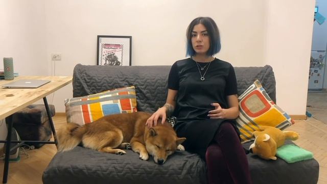 Cиба-ину (Shiba Inu). Как выбрать щенка, питомники и другие советы (Часть 2) смотреть онлайн