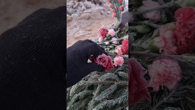 кладбищенские будни смотреть онлайн