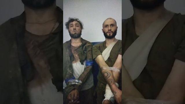 Украинские военнопленные сдавшиеся в плен российским войскам в Курской области. смотреть онлайн