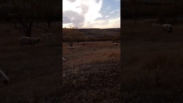 25 июня 2024 г..mp4 смотреть онлайн