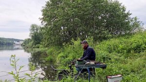 ловля леща пшено против мотыля