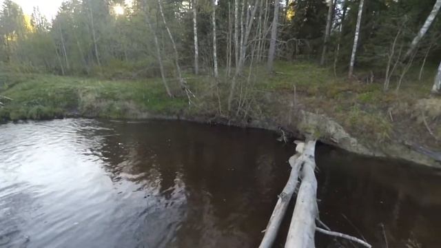 Река Воронка (Ленинградская область) смотреть онлайн