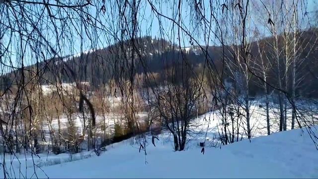 Однако, мороз крепчал. Симский пруд. 05.01.22г. смотреть онлайн