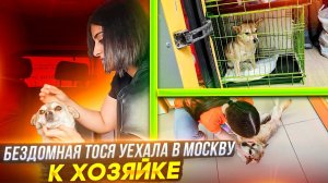 Тосе нашлись добрые ручки. Отправляем ее в Москву.