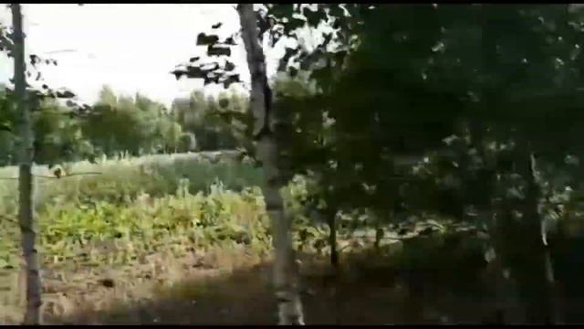 дорога домой😁🤗возвращаемся в город😂надо🤔🙄 смотреть онлайн