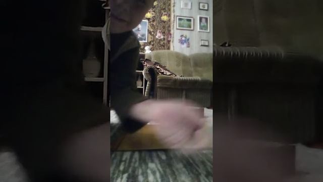 Бомблю деревянную башню смотреть онлайн