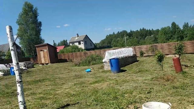 Огородные дела или как победить захватчиков в огороде. смотреть онлайн