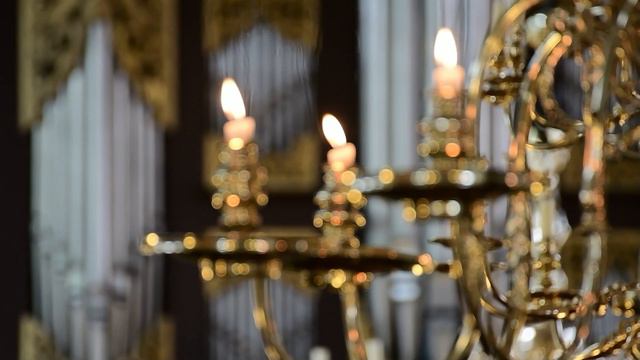 Arp Schnitger organ Stade | Franz Tunder | In dich hab ich gehoffet, Herr | Juergen Banholzer смотреть онлайн