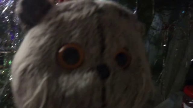 Куда и как делать