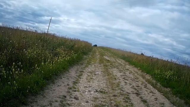 ВЕЛОПОЕЗДКИ: Архангельская область, Устьянский район, село Березник - Листовое поле смотреть онлайн