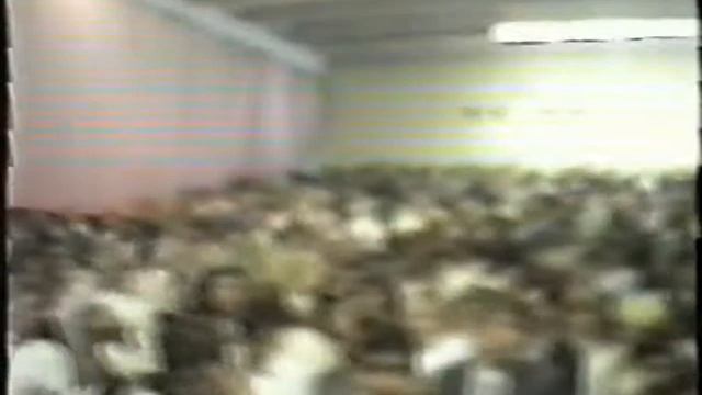 Последний звонок Выпускной 1995 г (школа №37 Саранск) смотреть онлайн