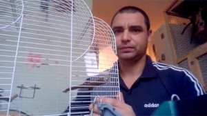 про клетку для Корелл