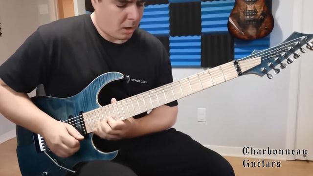 Pierre-Olivier Merizzi/ Final flight/Scimtar-7S HSS demo/ Charbonneau Guitars смотреть онлайн