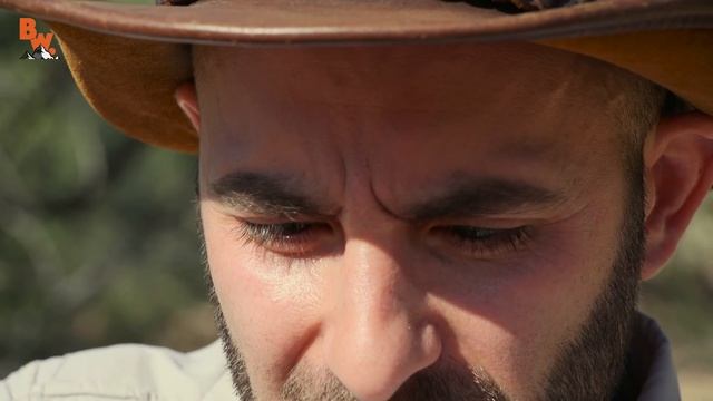 STUNG by a COW KILLER! смотреть онлайн