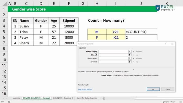 Excel SUMIFS and COUNTIFS Function | Excel Formulas in Hindi смотреть онлайн