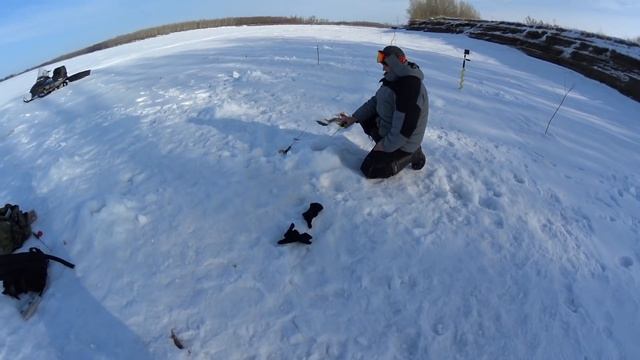ЭТО Я ПОНИМАЮ ОКУНЯ! Лед 2019 Рыбалка на Оби, безмотылка,perch смотреть онлайн