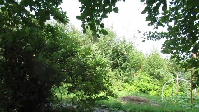 Мы одни с тобой... смотреть онлайн