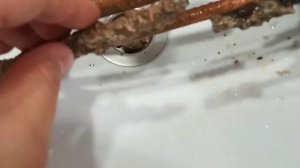 Потек водонагреватель. Ремонт и чистка водонагревателя. Замена прокладки и анода (тэна)