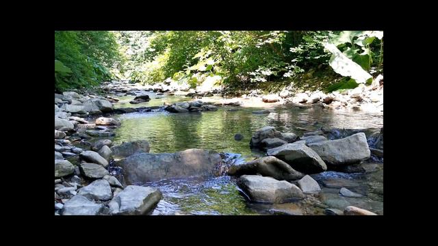 Волшебная Музыка. Звуки Природы. Чёрное Море. Natural Forest Sounds смотреть онлайн