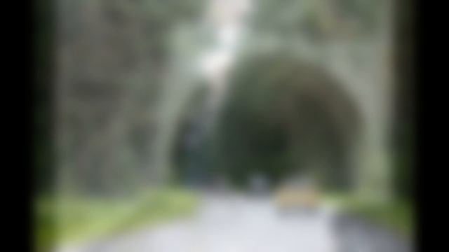 Ford Capri MkIII смотреть онлайн