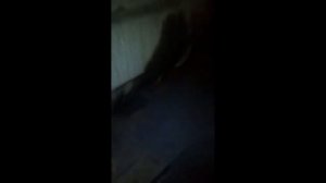 АВТОРЕМОНТ ОНЛАЙН  Троит мотор на Чери Фора