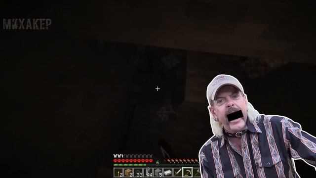 MINECRAFT Смешные моменты (перевод) ? ДЖО ЭКЗОТИК И КЭРОЛ БАСКИН (Майнкрафт) смотреть онлайн