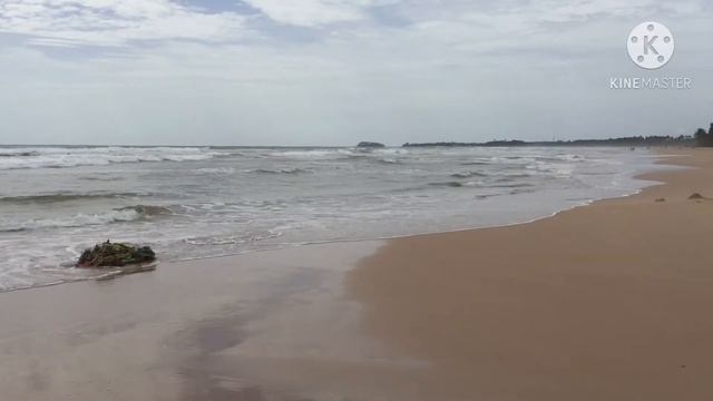 Bentota ? Beach смотреть онлайн