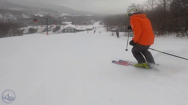 2022 Fischer RC4 The Curv GT Ski Review with SkiEssentials.com смотреть онлайн