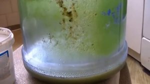 Как очистить бак от цвели (плесени)