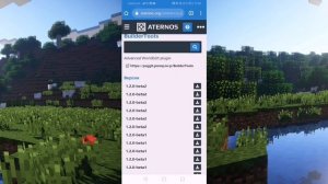 КАК СДЕЛАТЬ ПРИВАТ НА СЕРВЕРЕ ATERNOS? /// КАК СОЗДАТЬ СЕРВЕР В МАЙНКРАФТ