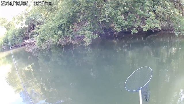 Рыбалка за щукой на Кинеле смотреть онлайн