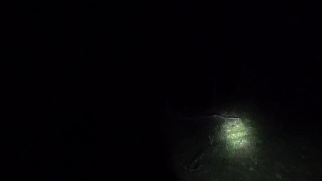 Охота на шакала и лису смотреть онлайн