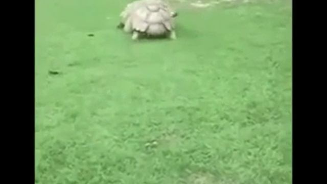 Есть друзья,а для них у друзей нет выходных смотреть онлайн