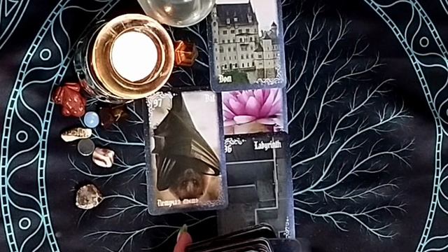 КАКОЙ ЧЕЛОВЕК ДАН МНЕ ПО СУДЬБЕ? ❓❓?✨#shortstaro