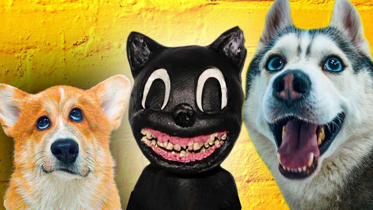 БАНДИТ СПИТ С КАРТУН КЭТОМ!! (Корги Коржик) Говорящая собака смотреть онлайн