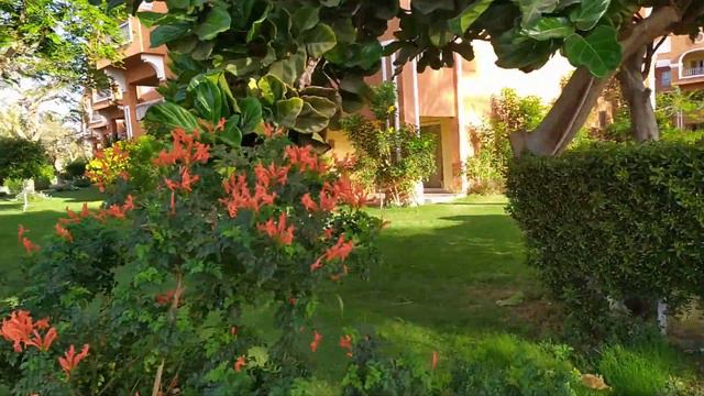 EGYPT Caribbean World Resort - Soma Bay смотреть онлайн