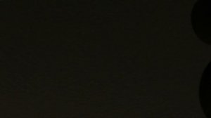 Crow hunting. Кроухантинг. Монохромные похождения Жорика и Моти.