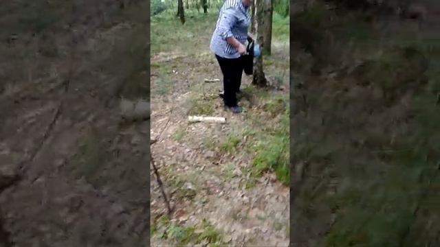 Гнездо лисичек или мама нашла бабочку смотреть онлайн