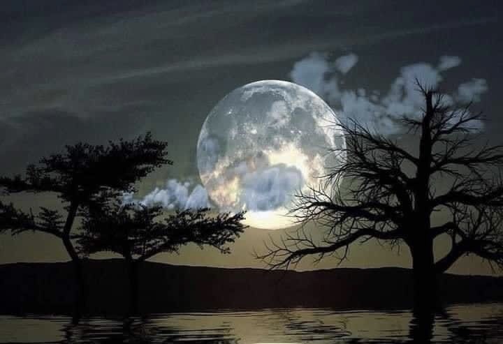 Мой стих подарит вам выздоровление