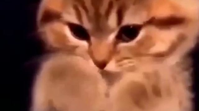 Не люби того кто тебя не любит люби того кто искренен с тобой смотреть онлайн