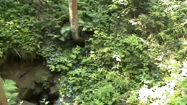 Поход на скалу 