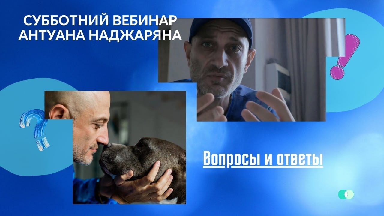 Субботний вебинар в школе А.Н. смотреть онлайн