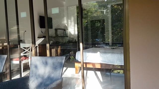 Обезьяны выносят платный минибар в отеле Таиланда