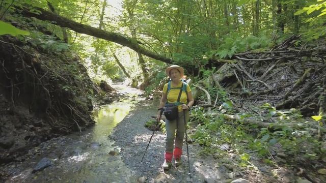 Чинары Псекупс Чинары  2 дня