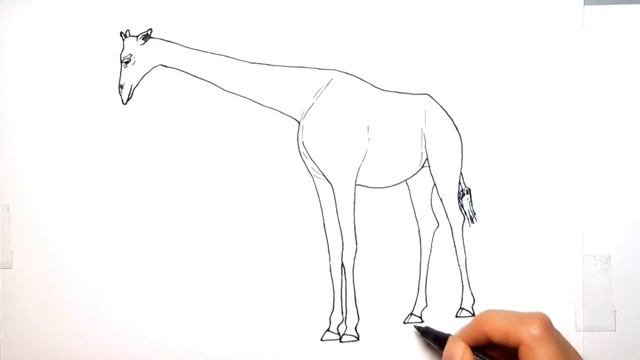 How to Draw Wild African Animals Elephant Lion Giraffe Color Pages for Childrens смотреть онлайн