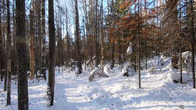 Таганай с братом 4 смотреть онлайн