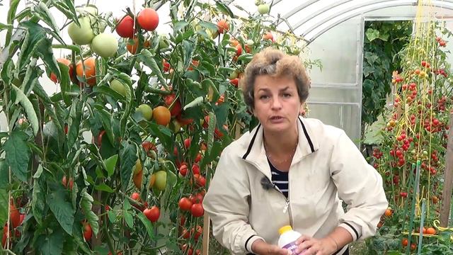 Наталья Петренко рассказывает о Гумаспорине смотреть онлайн